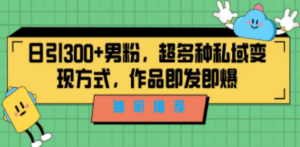 独家推荐！日引300+男粉，超多种私域变现方式，作品即发即报-创业资源网 | 精品设计与工具分享平台