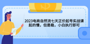 2023电商自然流七天正价起号实战课：起的慢，但是稳，小白执行即可-创业资源网 | 精品设计与工具分享平台