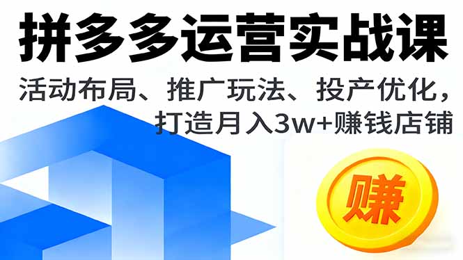 拼多多运营实战课，活动布局、推广玩法、投产优化，打造月入3w+赚钱店铺-创业资源网 | 精品设计与工具分享平台