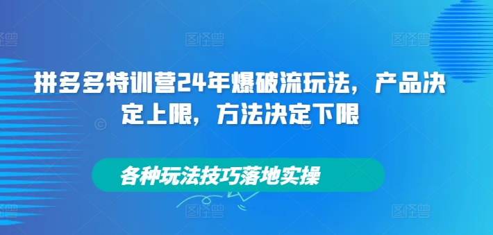 拼多多特训营24年爆破流玩法,产品决定上限,方法决定下限,各种玩法技巧落地实操 拼多多特训营24年爆破流玩法,产品决定上限,方法决定下限,各种玩法技巧落地实操