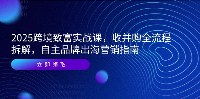 2025跨境致富实战课,收并购全流程拆解,自主品牌出海营销指南 2025跨境致富实战课,收并购全流程拆解,自主品牌出海营销指南