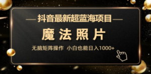 抖音最新超蓝海项目，魔法照片，无脑矩阵操作，小白也能日入1000+-创业资源网 | 精品设计与工具分享平台