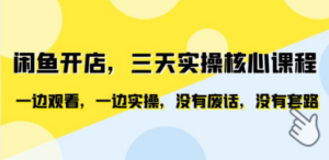 闲鱼开店，三天实操核心课程，一边观看，一边实操，没有废话，没有套路-创业资源网 | 精品设计与工具分享平台