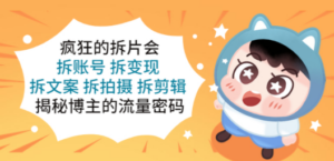 疯狂的拆片会:拆账号 拆变现 拆文案 拆拍摄 拆剪辑 揭秘博主的流量密码-创业资源网 | 精品设计与工具分享平台