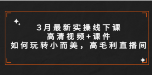 3月最新实操线下课高清视频+课件，如何玩转小而美，高毛利直播间-创业资源网 | 精品设计与工具分享平台