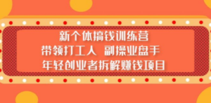 新个体搞钱训练营：带领打工人 副操业盘手 年轻创业者拆解赚钱项目-创业资源网 | 精品设计与工具分享平台