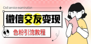 微信交友变现项目,吸引全网LSP男粉精准变现,小白也能轻松上手,日入500+-创业资源网 | 精品设计与工具分享平台