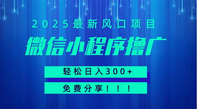 微信小程序撸广，最新风口项目，日入300+ 免费分享 可批量操作 小白可…-创业资源网 | 精品设计与工具分享平台