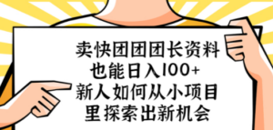 卖快团团团长资料也能日入100+ 新人如何从小项目里探索出新机会-创业资源网 | 精品设计与工具分享平台