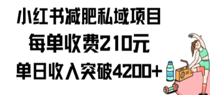 小红书减肥私域项目每单收费210元单日成交20单，最高日入4200+-创业资源网 | 精品设计与工具分享平台