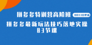 2023拼多多·特训营高阶班【9月13日更新】拼多多最新玩法技巧落地实操-83节-创业资源网 | 精品设计与工具分享平台