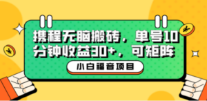 小白新手福音:携程无脑搬砖项目,单号操作10分钟收益30+,可矩阵可放大-创业资源网 | 精品设计与工具分享平台