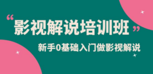 影视解说实战培训班，新手0基础入门做影视解说（10节视频课）-创业资源网 | 精品设计与工具分享平台