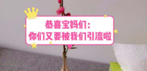 恭喜宝妈们：你们又要被我们引流了（教程+222g资料）-创业资源网 | 精品设计与工具分享平台