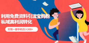 利用免费资料引流宝妈粉，私域高利润转化，实现一部手机日入500+-创业资源网 | 精品设计与工具分享平台