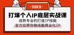 打爆·个人IP底层实战课，成熟专业的打造IP技能 全方位带你做成能商业化IP-创业资源网 | 精品设计与工具分享平台