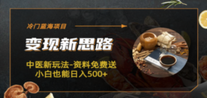 冷门蓝海项目-中医新玩法-资料免费送小白也能日入500+-创业资源网 | 精品设计与工具分享平台