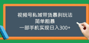 视频号私域带货暴利玩法，简单粗暴，一部手机实现日入300+-创业资源网 | 精品设计与工具分享平台