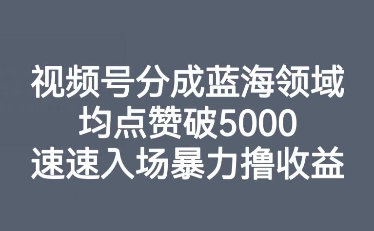 视频号分成蓝海领域，均点赞破5000，速速入场暴力撸收益-创业资源网 | 精品设计与工具分享平台