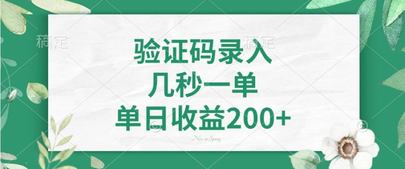 验证码录入，几秒一单，单日收益200+-创业资源网 | 精品设计与工具分享平台