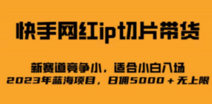 快手网红ip切片新赛道，竞争小事，适合小白 2023蓝海项目-创业资源网 | 精品设计与工具分享平台