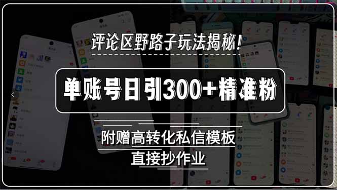 评论区野路子玩法揭秘！单账号日引300+精准粉，附赠高转化私信模板，直…-创业资源网 | 精品设计与工具分享平台