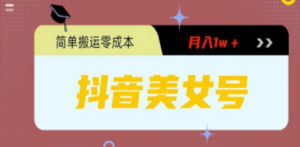 0粉无门槛暴力起号美女号，简单搬运月入1w＋-创业资源网 | 精品设计与工具分享平台