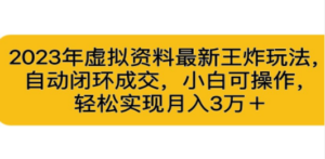 2023年虚拟资料最新王炸玩法,自动闭环成交,小白可操作,轻松实现月入3…-创业资源网 | 精品设计与工具分享平台