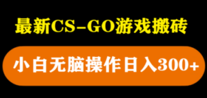 最新csgo游戏搬砖游戏，无需挂机小白无脑也能日入300+-创业资源网 | 精品设计与工具分享平台