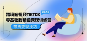 跨境·短视频TIKTOK零基础到精通变现训练营 短视频·独立站·带货变现技巧-创业资源网 | 精品设计与工具分享平台