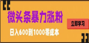 微头条暴力涨粉技巧搬运文案就能涨几万粉丝，简单0成本，日赚600-创业资源网 | 精品设计与工具分享平台