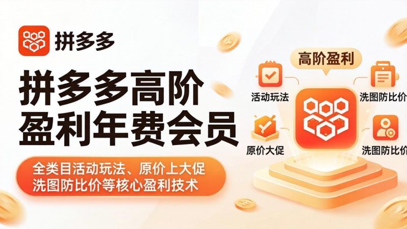 拼多多高阶盈利年费会员(更新4月15):全类目活动玩法、原价上大促、洗图防比价等核心盈利技术-创业资源网 | 精品设计与工具分享平台