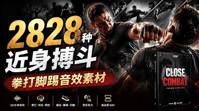 宝藏级别音效！2828种近身搏斗拳打脚踢音效素材，全部中文分类，免解压使用 Close Combat-创业资源网 | 精品设计与工具分享平台