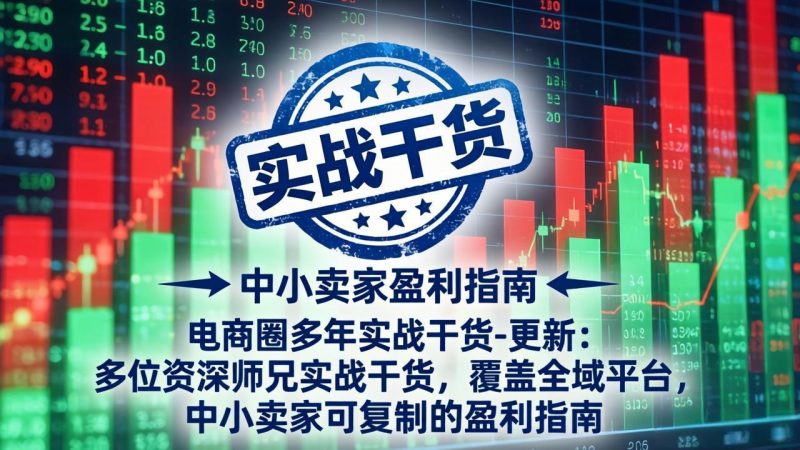 电商圈多年实战干货-更新2026:多位资深师兄实战干货/覆盖全域平台,中小卖家可复制的盈利指南-创业资源网 | 精品设计与工具分享平台