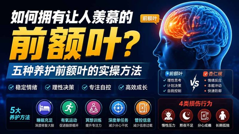 付费文章:如何拥有让人羡慕的前额叶?五种养护前额叶的实操方法-创业资源网 | 精品设计与工具分享平台