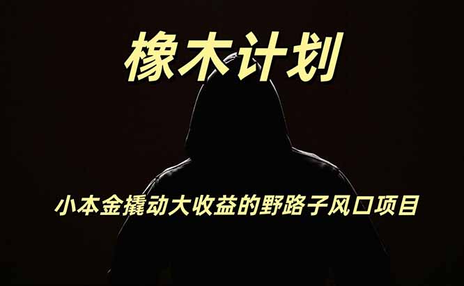 橡木计划，小投入撬动高回报的风口野路子项目，一天投入2小时左右-创业资源网 | 精品设计与工具分享平台